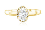 Halo Oval Diamond Engagement Ring in 14k Yellow Gold (7/8 ct. tw.)