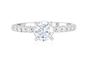 Micro Pavé Round Diamond Solitaire Engagement Ring in 14k White Gold