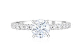 Micro Pavé Round Diamond Solitaire Engagement Ring in 14k White Gold