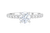 Micro Pavé Round Diamond Solitaire Engagement Ring in 14k White Gold