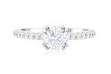 Double Prong Pavé Diamond Solitaire Engagement Ring in 14k White Gold